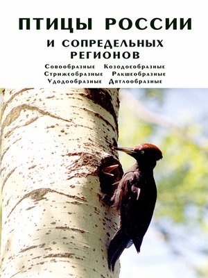 cover image of Птицы России и сопредельных регионов. Совообразные, Козодоеобразные, Стрижеобразные, Ракшеобразные, Удодообразные, Дятлообразные